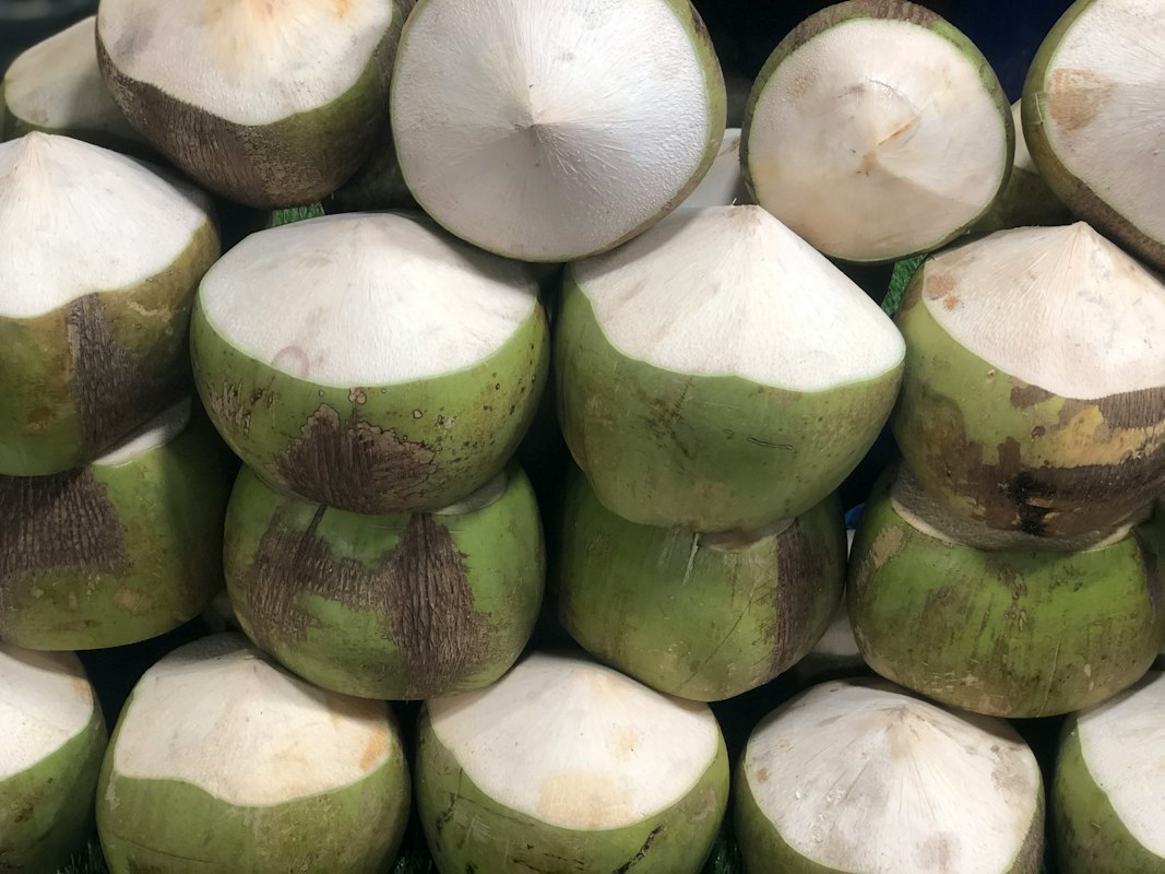 Koleksi artikel kesehatan dan stamina harian